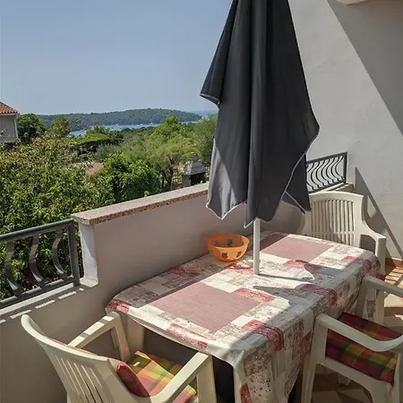 Guest house Triton Vinkuran
