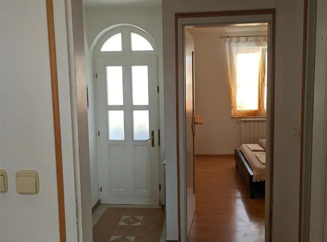 게스트하우스 Triton 3*