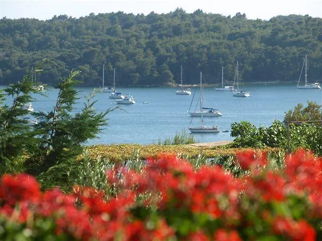 게스트하우스 Triton